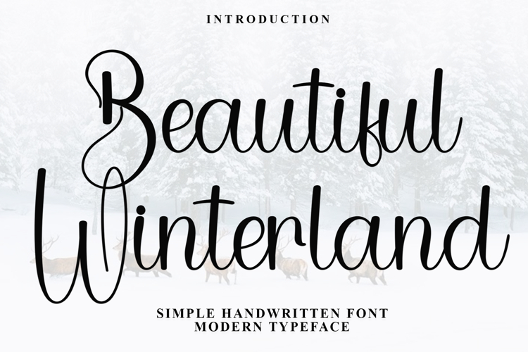 Beautiful Winterland