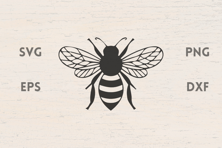 Summer Bee SVG