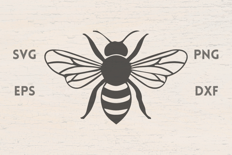 Honey Bee Svg