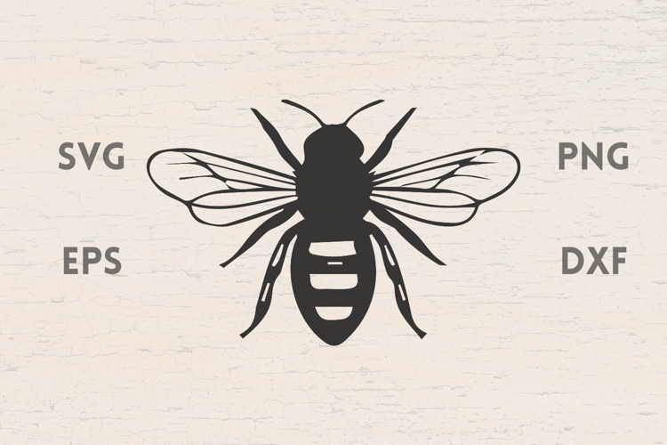 Honey Bee Svg Image 22