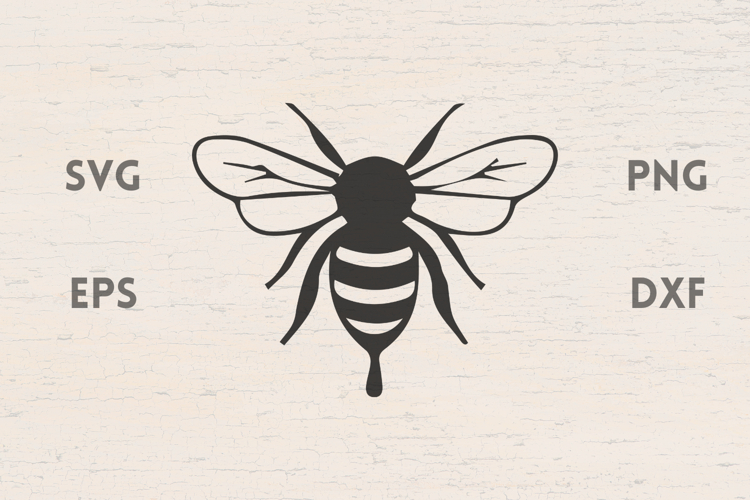 Honey Bee Svg Image 23