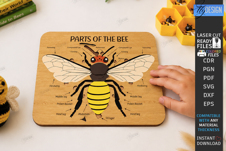 Bee Hive Toy Laser Cut | Wooden Bee Memory Game | Montessori