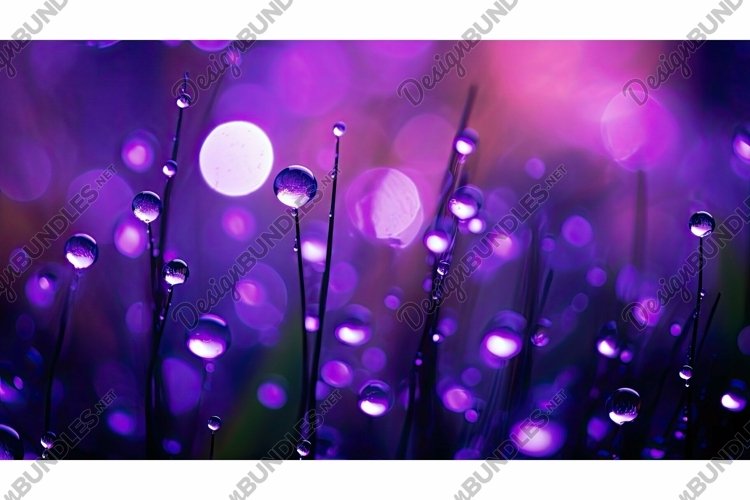 defined purple bokeh example image 1