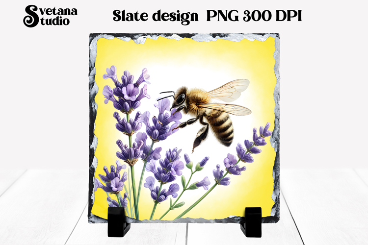 Cute Bee Pictures Image 12