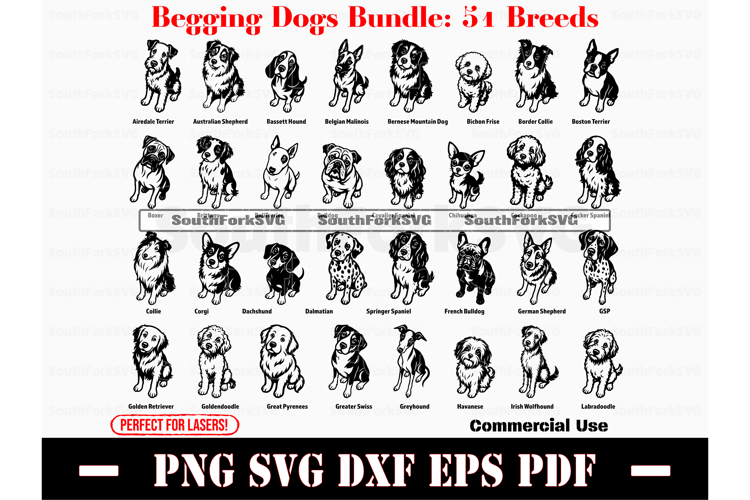 51 Begging Dogs Mega Bundle SVG PNG DXF EPS PDF