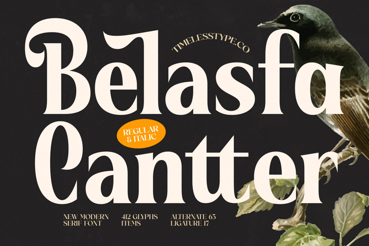 Belasfa Cantter - Modern Serif Font