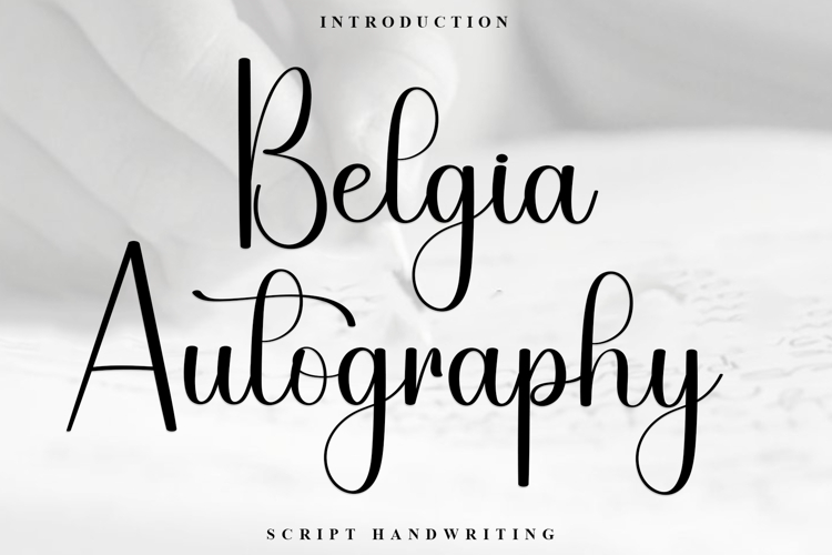 Autography Font Image 14