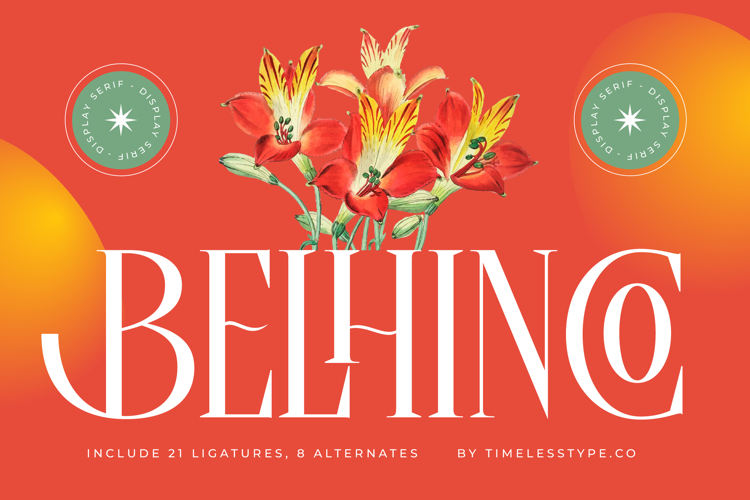 Belhinco - Display Serif Font