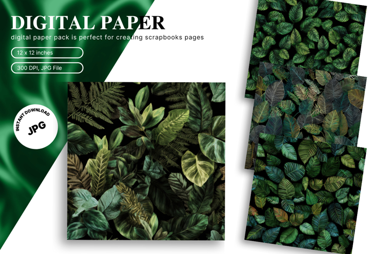 Monstera Leaf Clipart Image 18