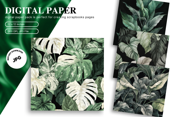 Monstera Leaf Clipart Image 11
