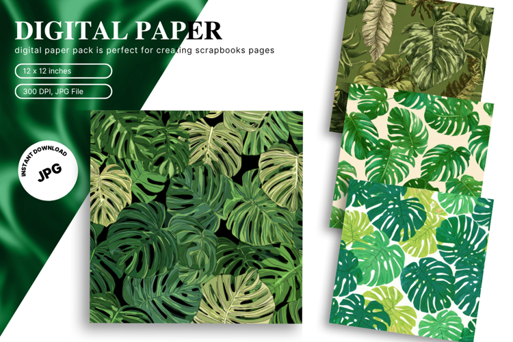 Monstera Leaf Clipart Image 5