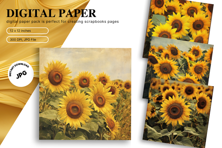 Sunflower Background Image 4