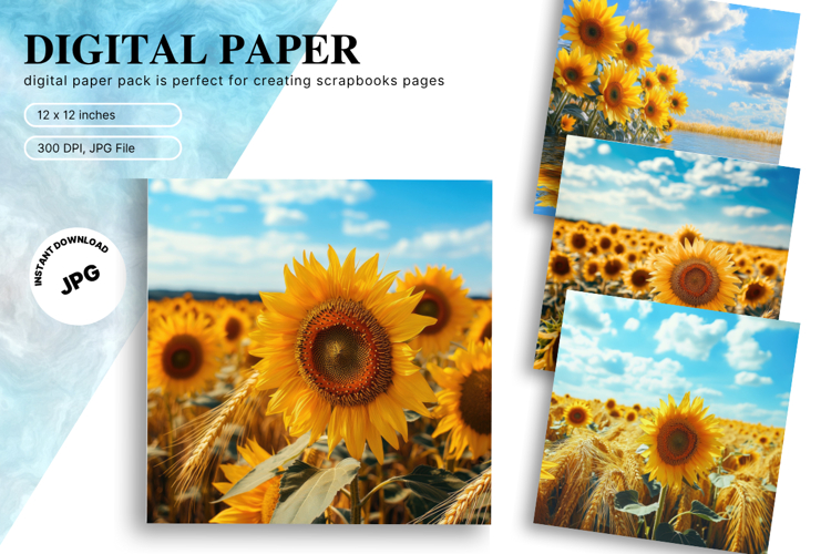 Sunflower Background Image 22