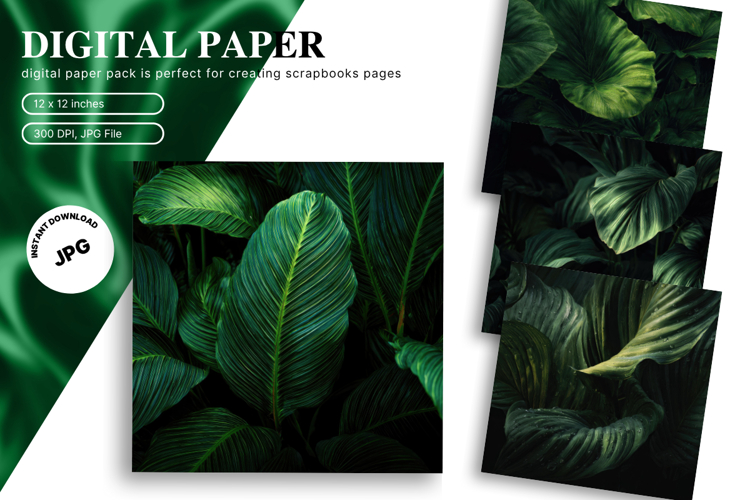 Monstera Leaf Clipart Image 14