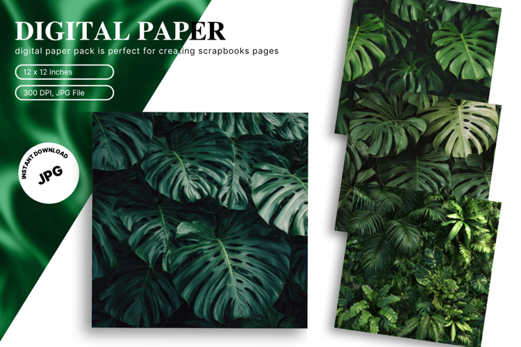 Monstera Leaf Clipart Image 23