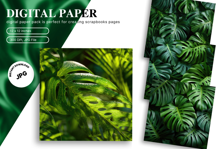 Monstera Leaf Clipart Image 3