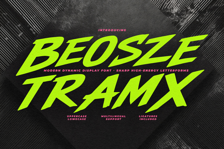 Beosze Tramx Modern Dynamic Display Font