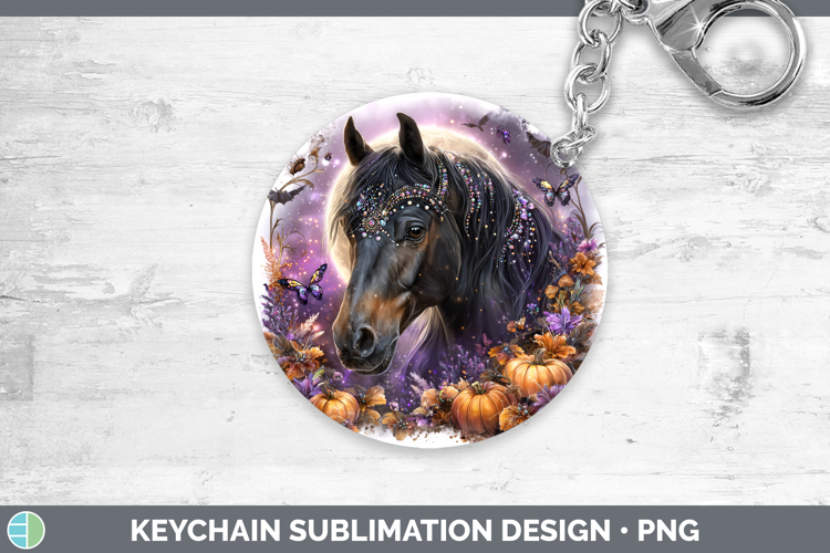 Cute Horse Pictures Image 17