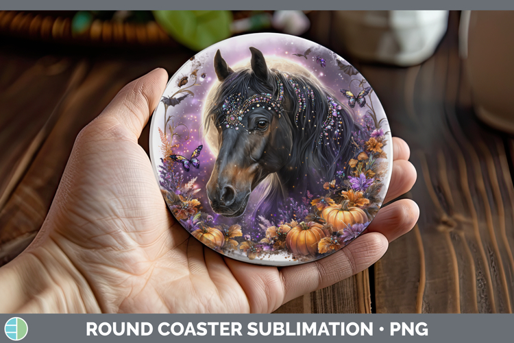 Cute Horse Pictures Image 13