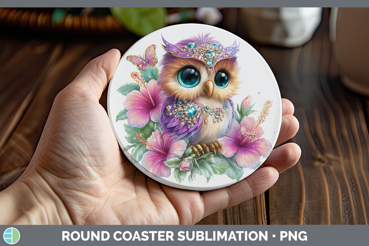 Best Sellers 01 Rainbow Summer Owl Round Coaster Sublimation