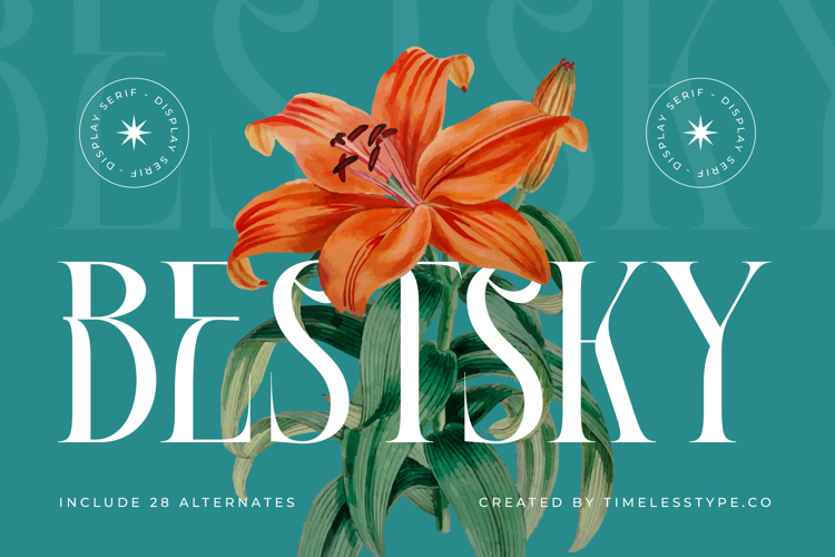Bestsky - Display Serif Font