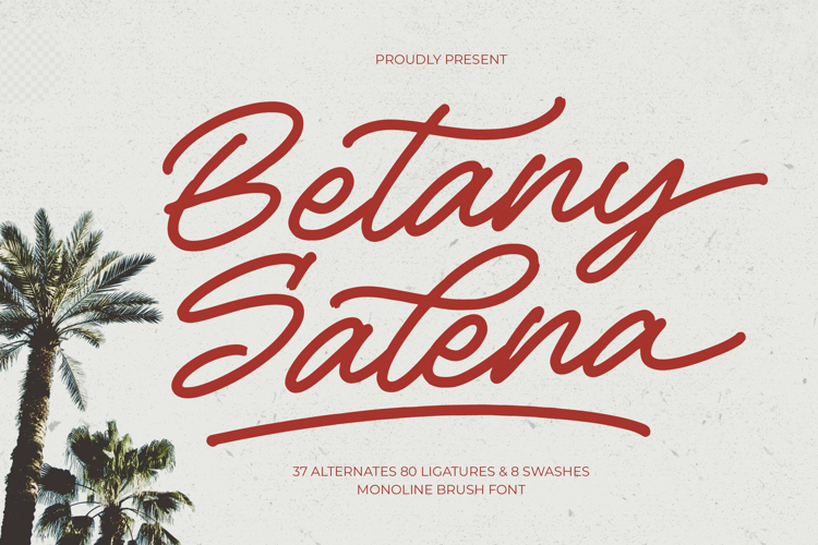 Betany Salena - Monoline Brush Font example image 1