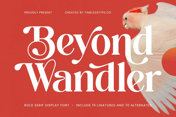 Beyond Wandler - Bold Serif Display Font