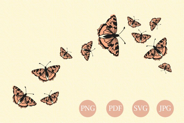 Butterfly Clipart Image 11
