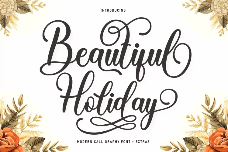 Beautiful Holiday And Extras