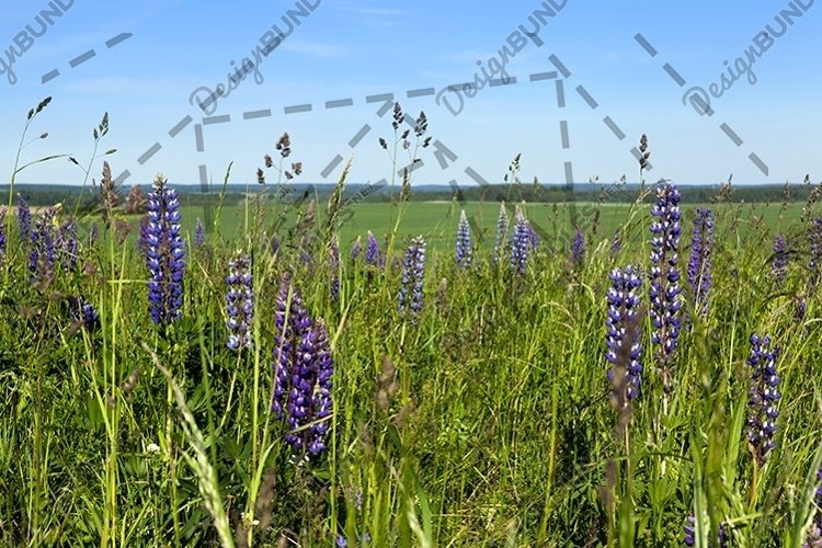 Weather Clipart Image 22