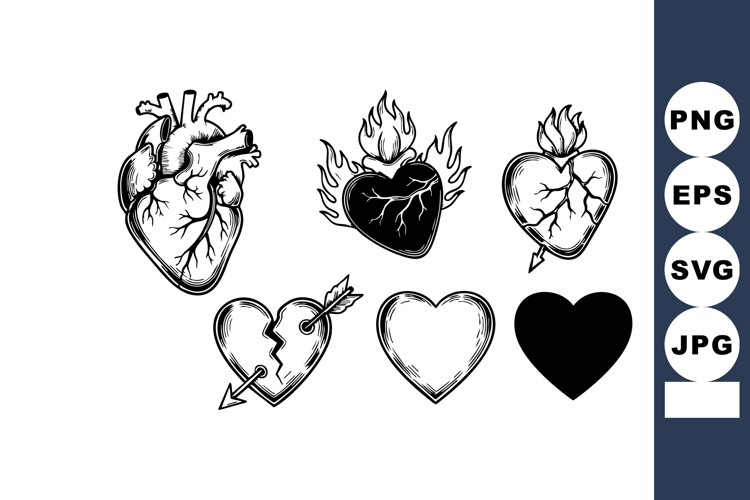 Anatomy Illustration Image 11