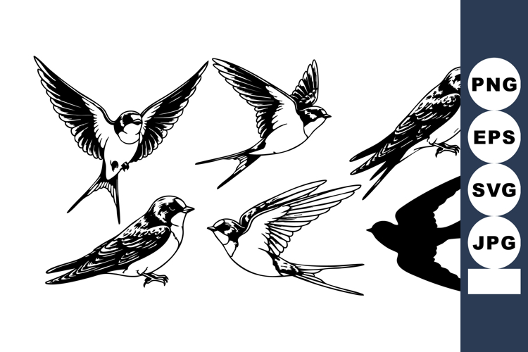 Birds Flying Silhouette Image 11