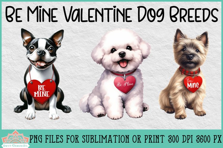 Boston Terrier Clipart Image 18