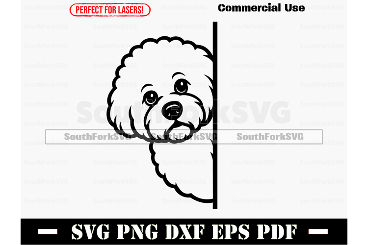 Looking Eyes Clipart Image 20