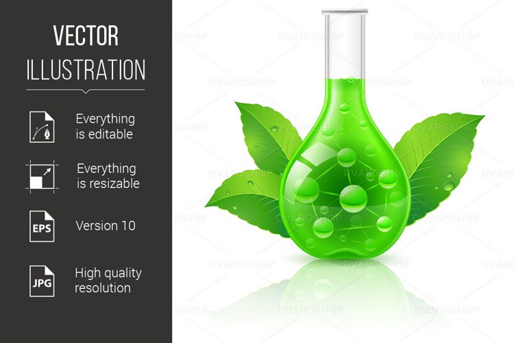 Nature Illustration Image 17