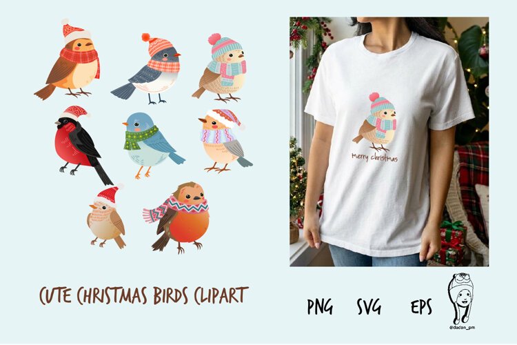 Cute Christmas Birds Clipart, Winter Bird Illustration example image 1