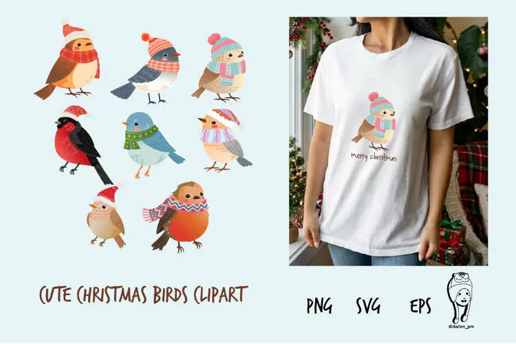 Cute Christmas Birds Clipart, Winter Bird Illustration