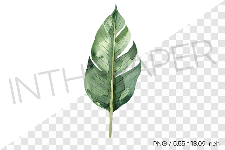 Bird Of Paradise Clipart Image 14