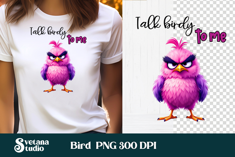 Bird PNG Image 16