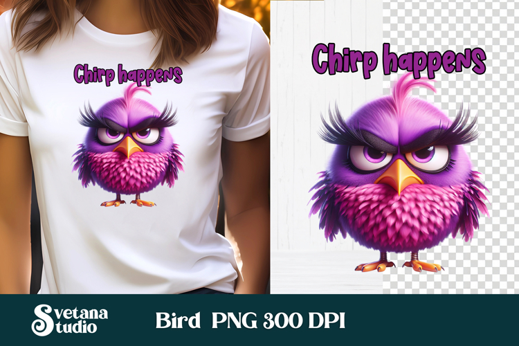 Bird PNG Image 11