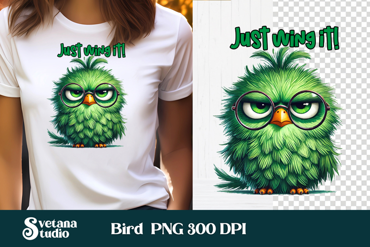 Bird PNG Image 6