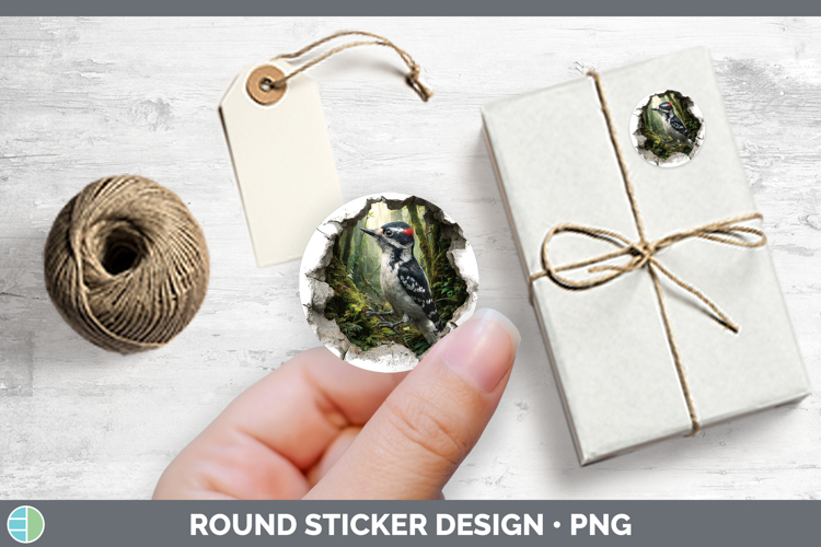 Woodpecker Birds 01 3D Hole Stickers Design