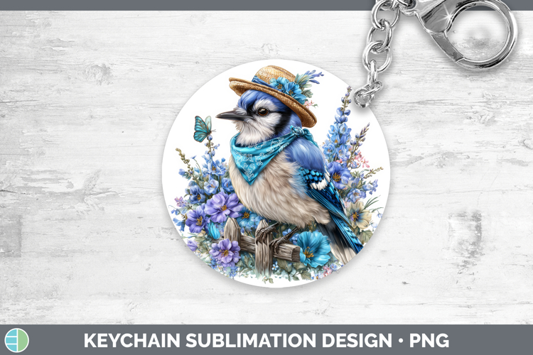 Blue Jay Clipart Image 9
