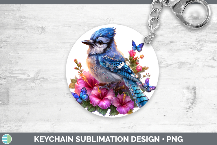 Blue Jay Clipart Image 15