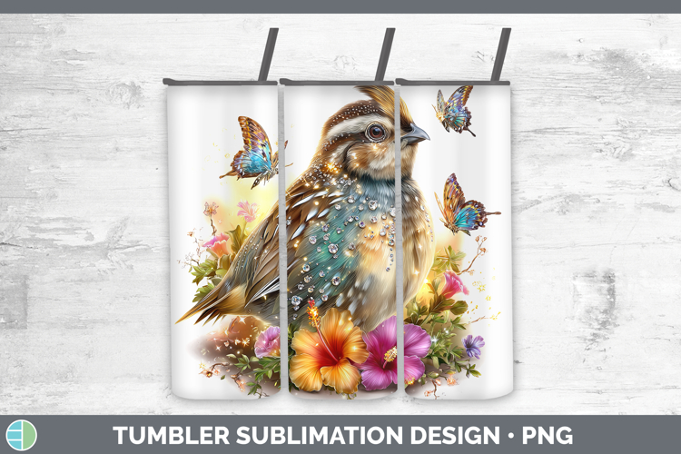 Quail Clipart Image 24