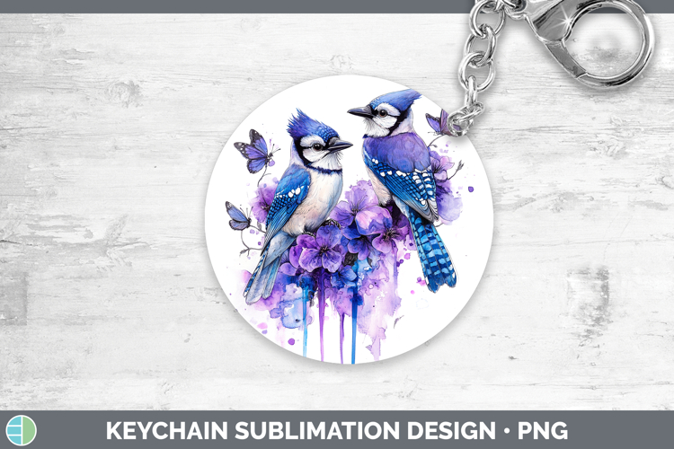 Blue Jay Clipart Image 7