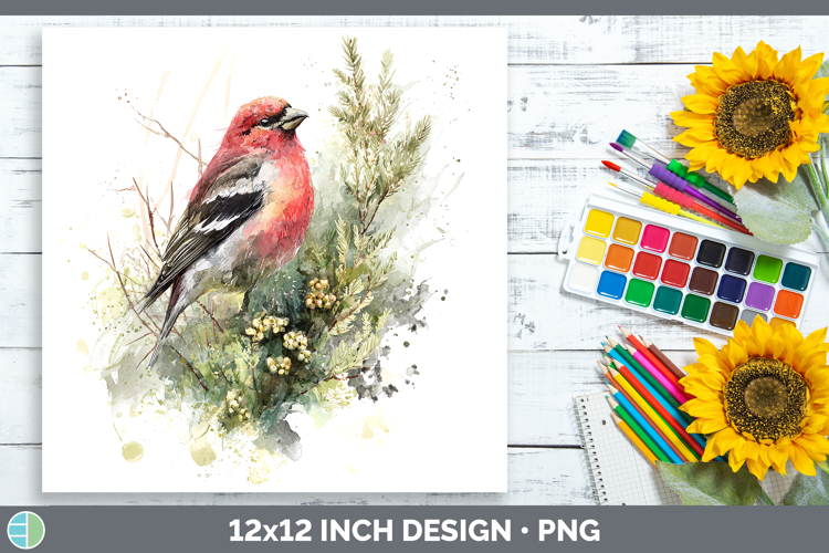 Pine Grosbeak Birds 01 Sketch Paper Backgrounds Design