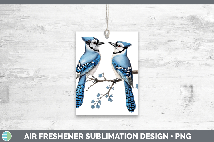 Blue Jay Clipart Image 22