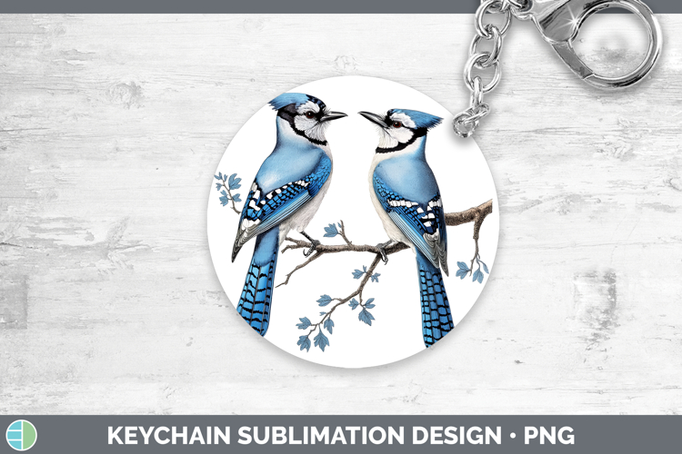 Blue Jay Clipart Image 20