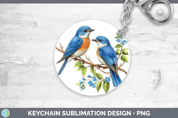 Bluebird Clipart Image 8